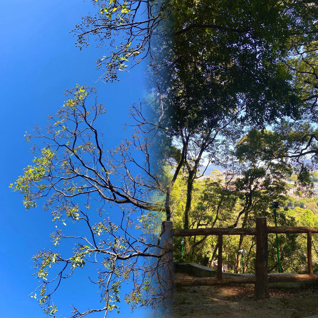 這才是我心目中的潮州園林