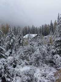 四姑娘山-魚子西老年人遊玩攻略 悠閒不虛行