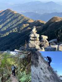 邂逅大南山，領略自然之美