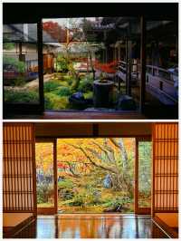 京都·常寂光寺「伏在山坡的美人」體驗和服之美