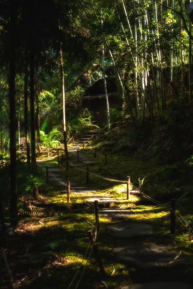 騰沖瑪御谷悅椿 | 山水間·邂逅寧靜與美好