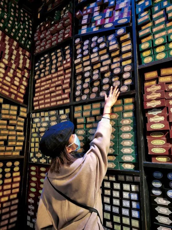 A Must-Visit for Harry Potter Fans: Warner Bros. Studio Tour