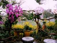 QingXiu Mountain of NanNing: Charming Fairy Tale Realm