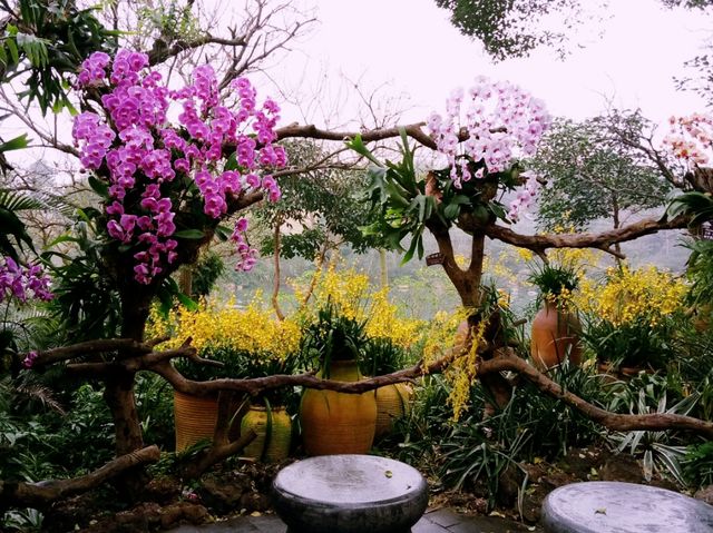 QingXiu Mountain of NanNing: Charming Fairy Tale Realm