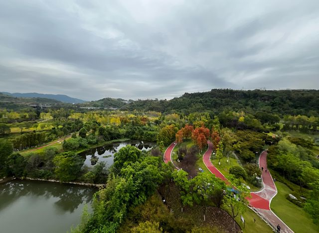 走進達州蓮花湖濕地公園｜領略自然生態的奇妙畫卷