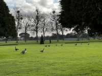 Visit to Hampton Court Palace