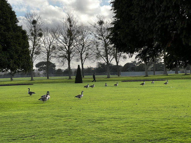 Visit to Hampton Court Palace