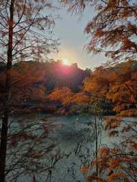 #中山金鐘湖公園：迷人湖景