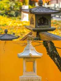 杭州小眾景點推薦慧因高麗寺