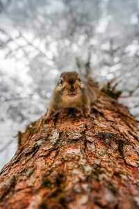被低估嘅冰雪王國（瓦屋山）
