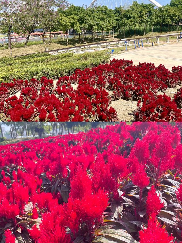 玉林園博園，一場視覺與自然的盛宴