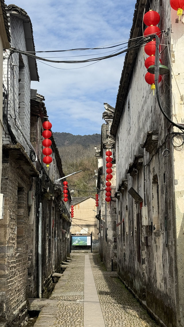 漫遊新光村，特色美食索粉麵