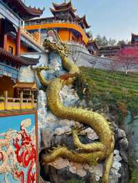 在廣東！！我唯一想去無數次的超大免費寺廟！！