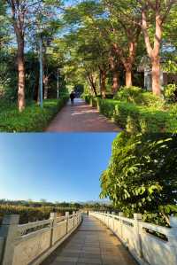 元謀鳳凰湖公園