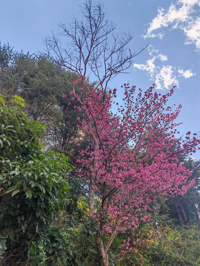 昆明-撫仙湖-建水｜真溫泉之旅 治癒身心的秘境