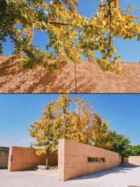 運城小眾寶藏地 | 廣仁王廟，隱匿千年的古建遺珠