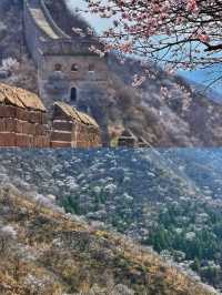 Chinatravel金山嶺 ｜不到長城非好漢