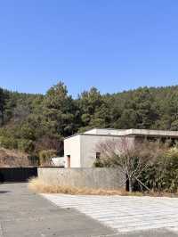 山谷松林星空私湯，被Anadu白阜莊園拿捏了！