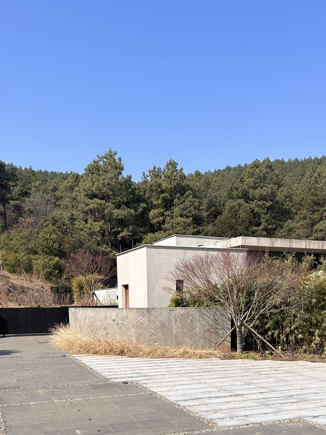 山谷松林星空私湯，被Anadu白阜莊園拿捏了！