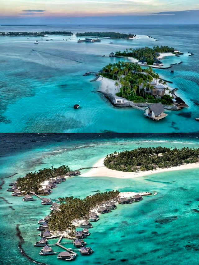 馬爾代夫白馬莊園盡情擁抱迷人海景