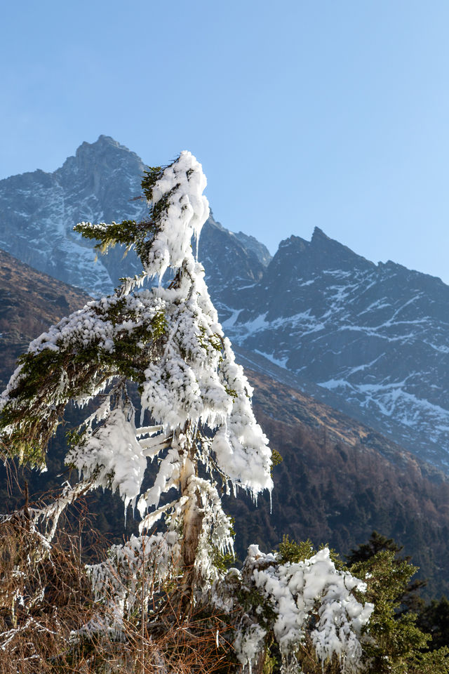 寒假親子遊來畢棚溝賞雪景吧