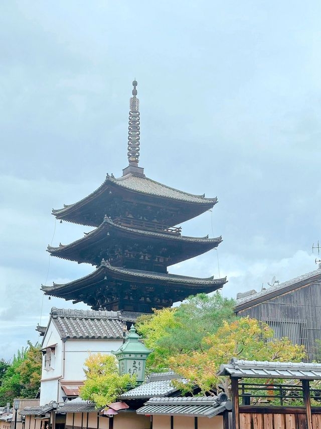在日本住了8天不想退房