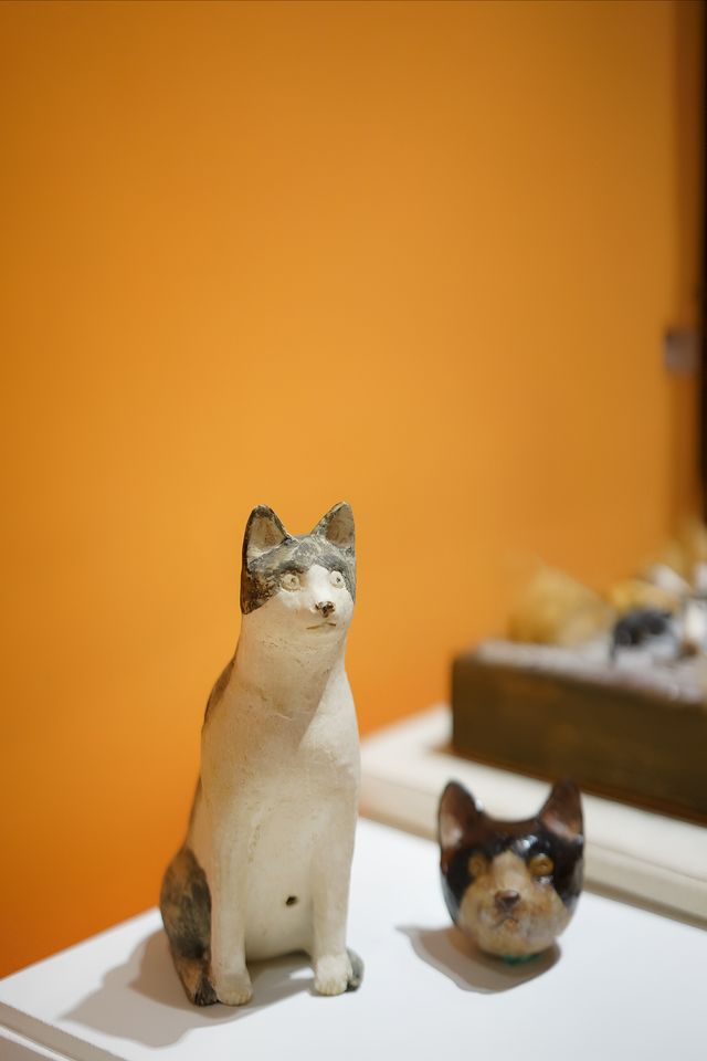 北京免費新展｜今日做隻貓咪吧！