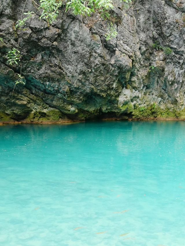 冬天 與中國天眼科普基地等地的浪漫邂逅