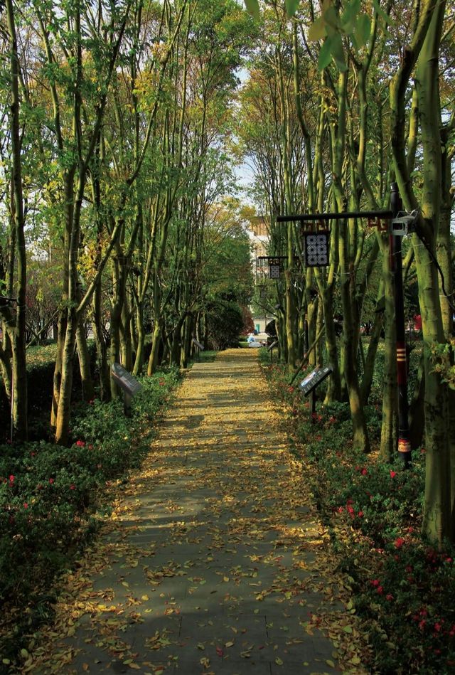 奢香古鎮 | 藏在時光裡的溫柔舊夢