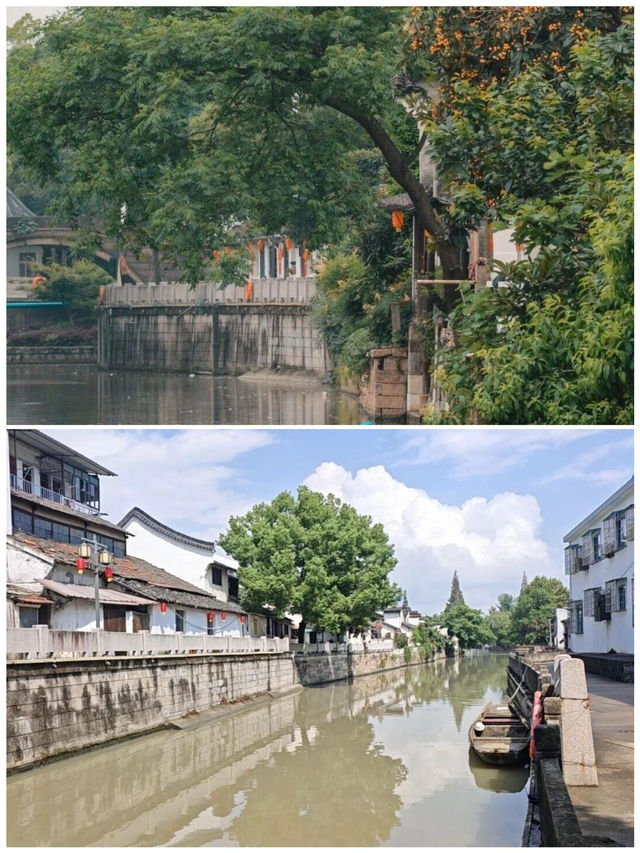 海寧之旅歸來，分享真實感受！因一首歌愛上一座城