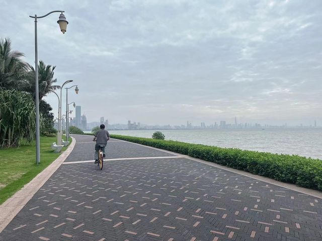 深圳灣出片暴擊！懸浮樹×鏡面沙灘ins風攻略