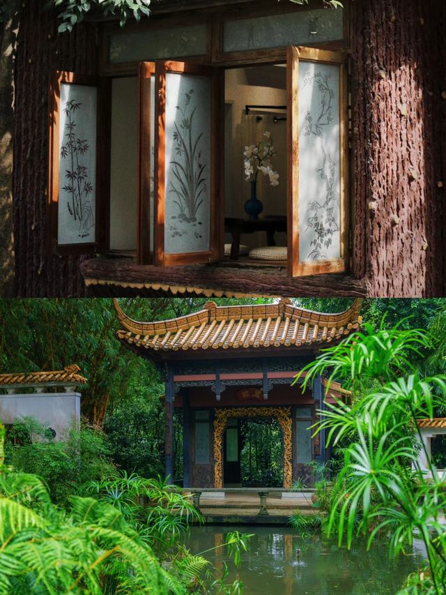 廣州的春天已經綠意盎然簡直美翻
