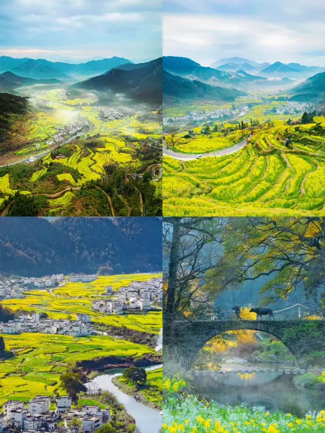 Go to Jiangling, Wuyuan to experience the most beautiful spring