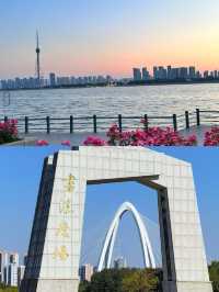 寶藏城市來山東不要錯過這裡