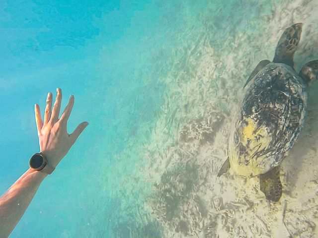馬爾代夫·丹格迪島 | 探索夢幻水底浮潛區！