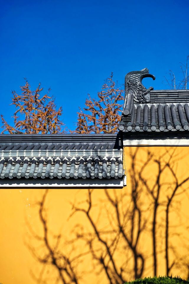 人間彌勒，知足常樂