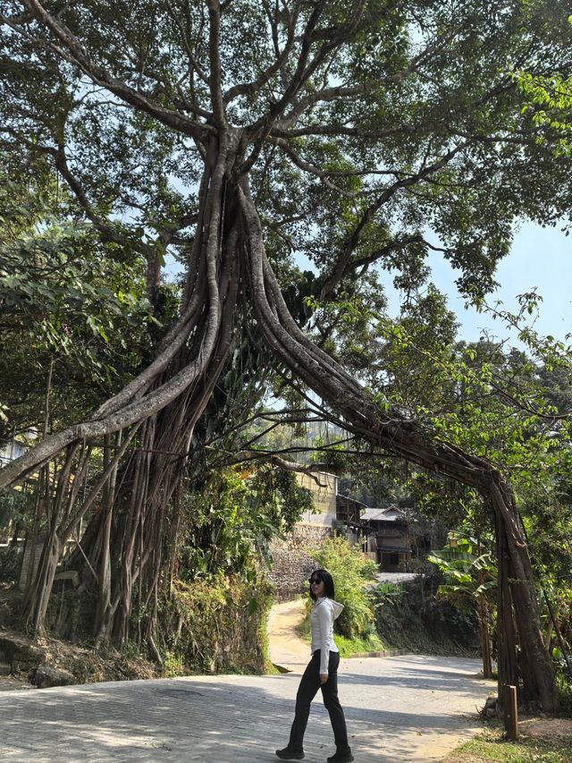 全網首發！女生獨遊雲南必玩路線