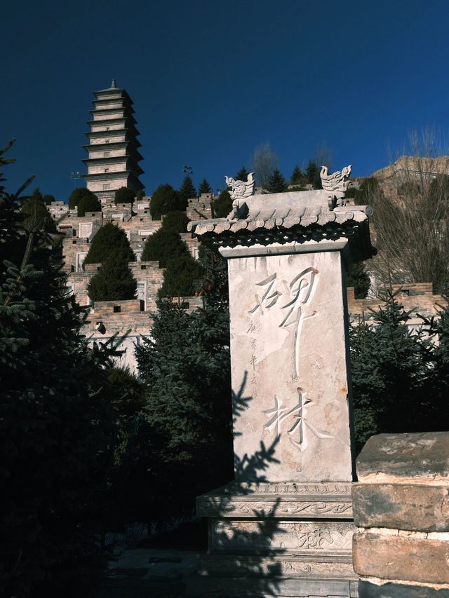 山西大同—雲岡石窟深度遊 揭秘千年佛教藝術之美