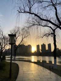 讓我看看誰還沒去興慶宮和鬱金香拍照