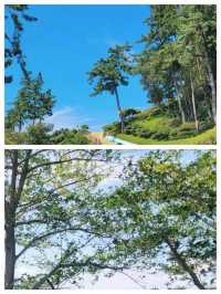 莞島郡：韓國西南海的遺世桃源，探索寧靜與美好