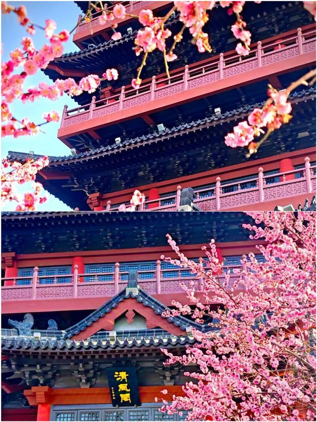 第一次來包公園 這麼玩就對了