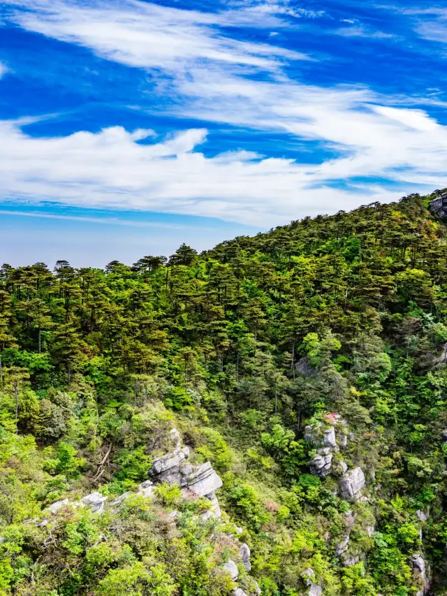 A Super Detailed 4-Day Spring Trip Guide to Jiujiang and Other Areas—Save It Now!