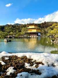 日本8天深度遊 超詳細攻略等你來