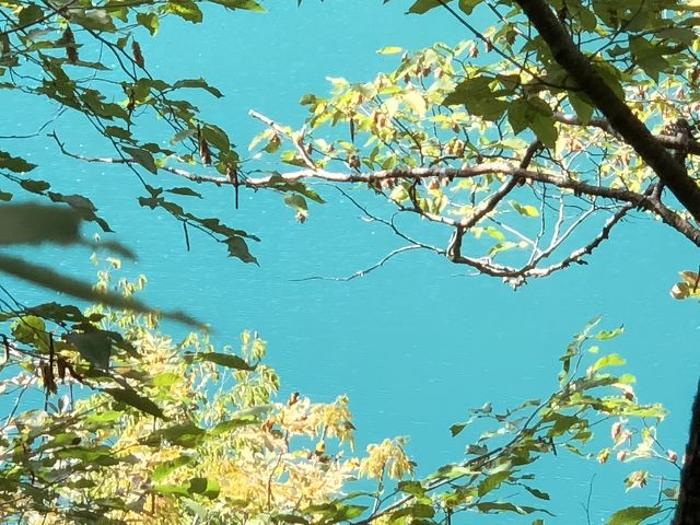 克羅地亞十六湖 | 邂逅歐洲版九寨溝