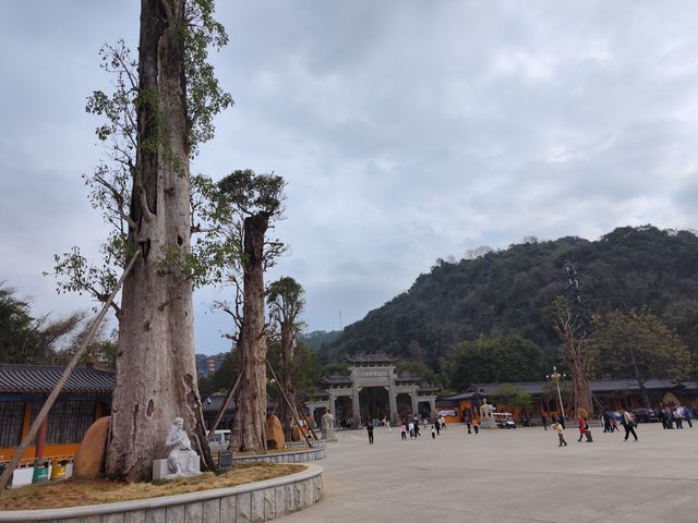 東華寺祈福·遇見繁花