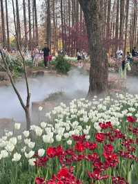 別擠雞鳴寺了，這裡才是南京賞櫻天花板！