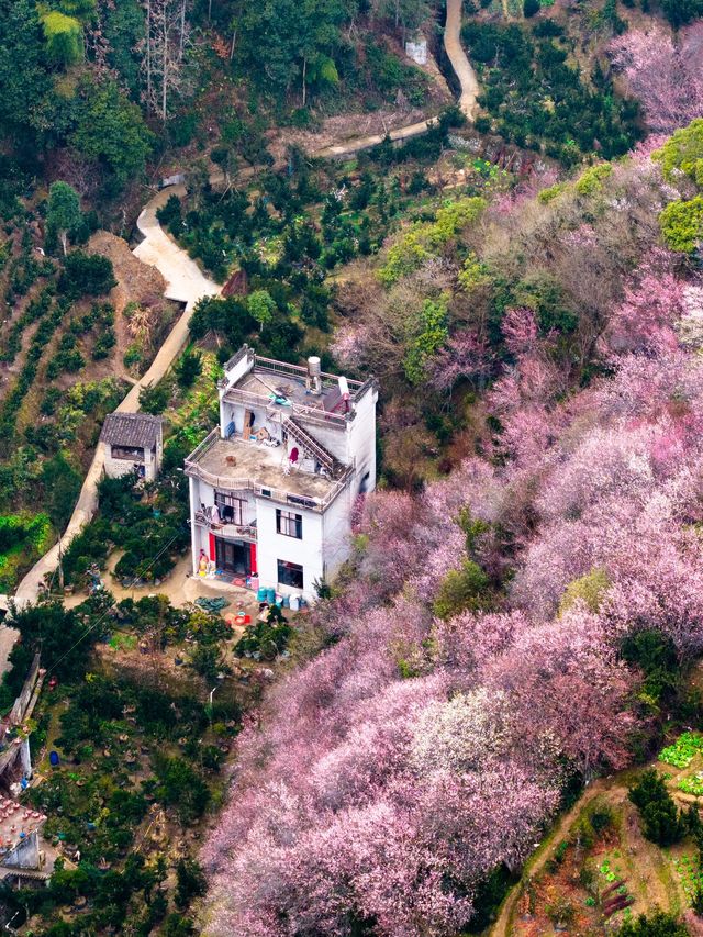 黃山3日遊 玩轉全景不走冤枉路