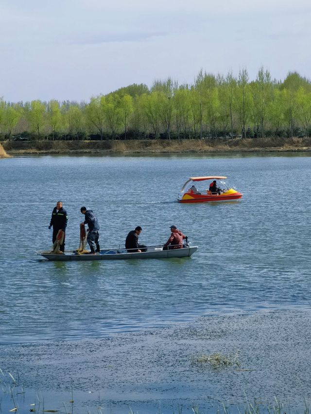 4.  5實探|北京周邊河水明火露營附位置