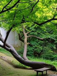 西湖唔止得斷橋同靈隱寺！仲有呢啲小眾秘境
