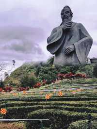 雲頂茶鄉 | 巴中南江嘅世外桃源，一篇解鎖茶園慢生活攻略
